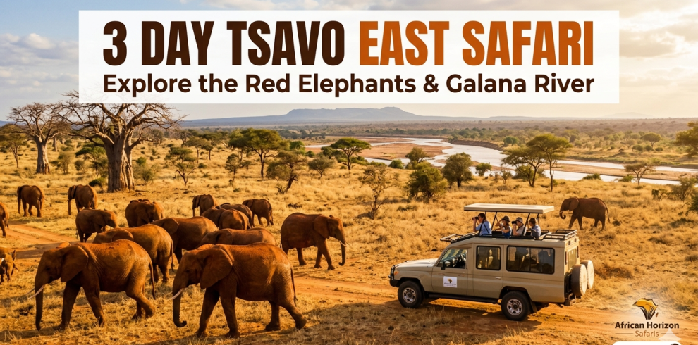3 Day Tsavo East Safari