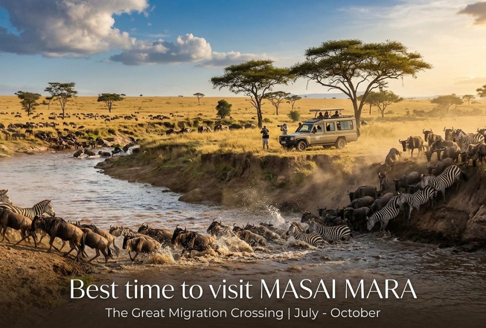 Best time to visit Masai Mara