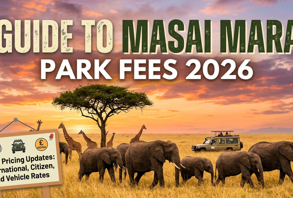 Masai Mara park fees 2026