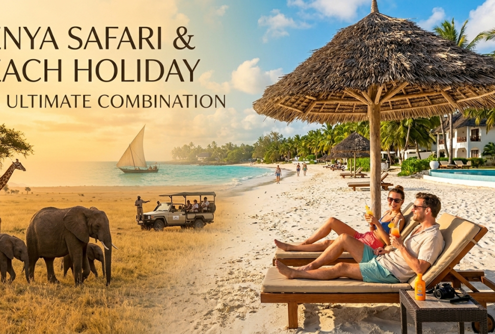 Kenya safari and beach holiday