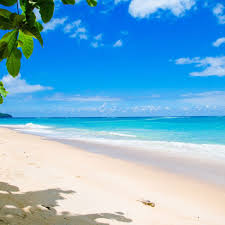 beach-safaris