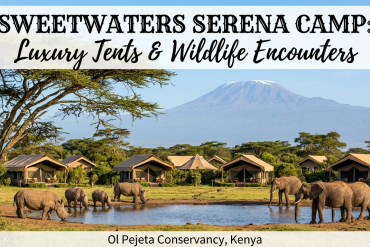 sweetwaters serena camp